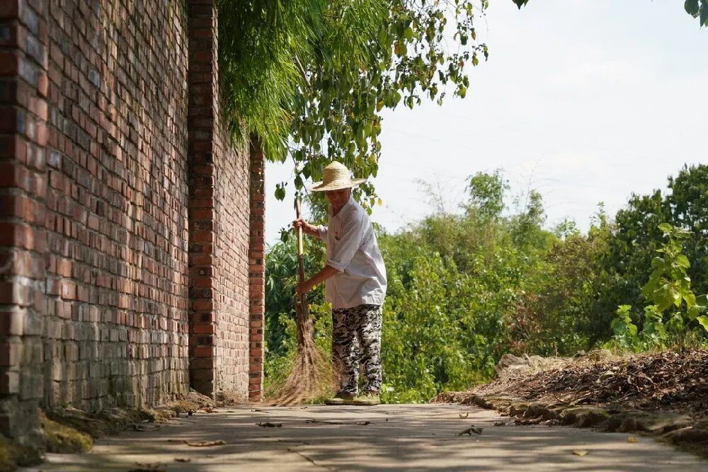 廖泽轩在清理落叶